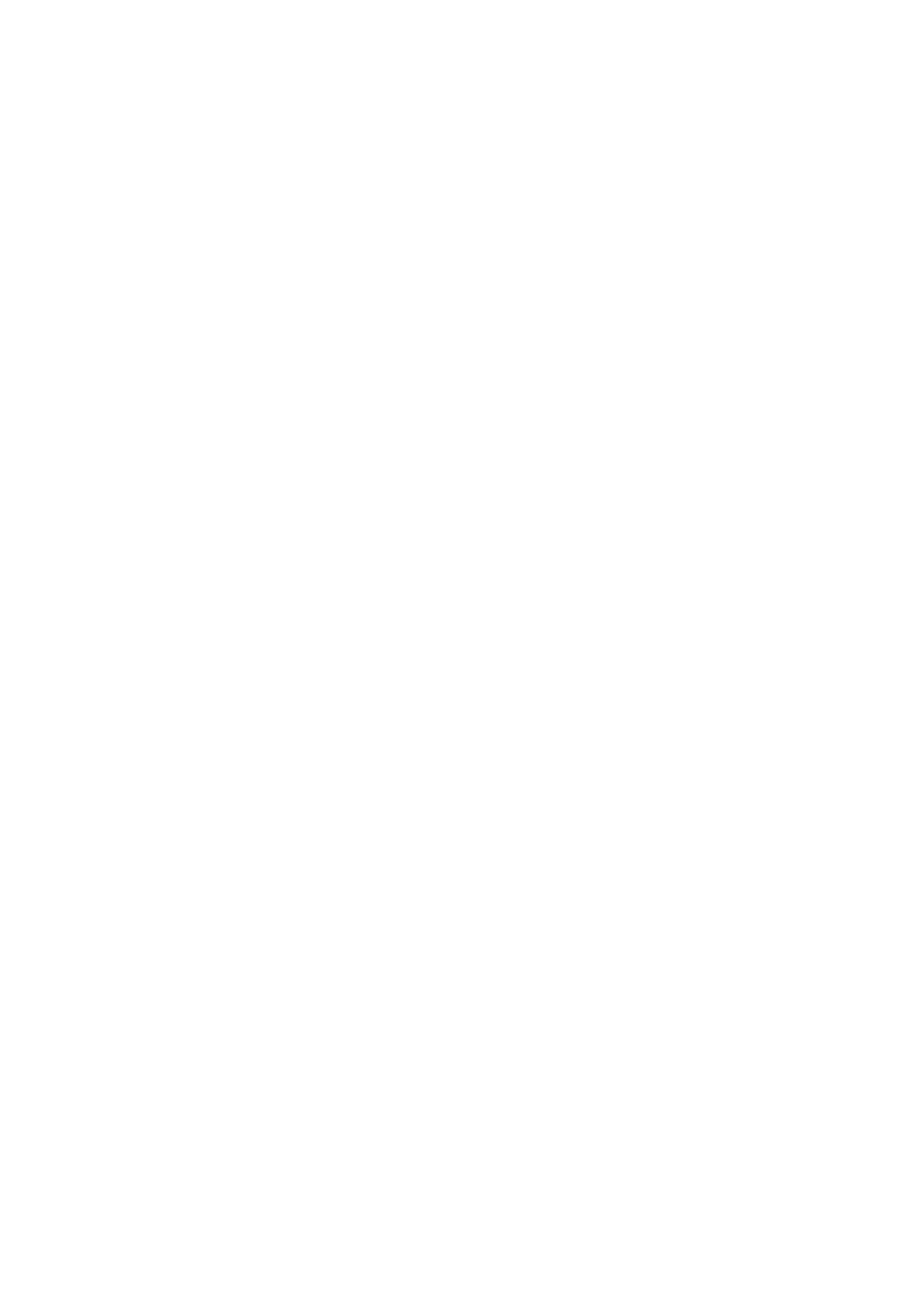 Distribuidora Bellotti S.R.L.