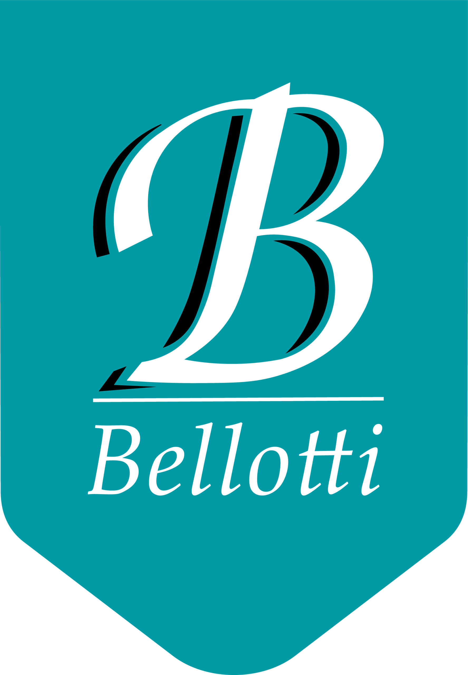 Distribuidora Bellotti S.R.L.